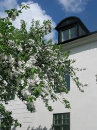 Appelblom Hemfrid